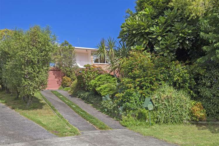 75 Andrew Road Howick_4