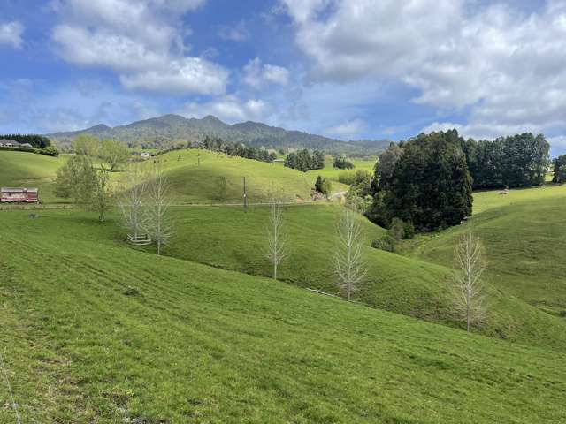 474 O'Shea Road Pirongia_2