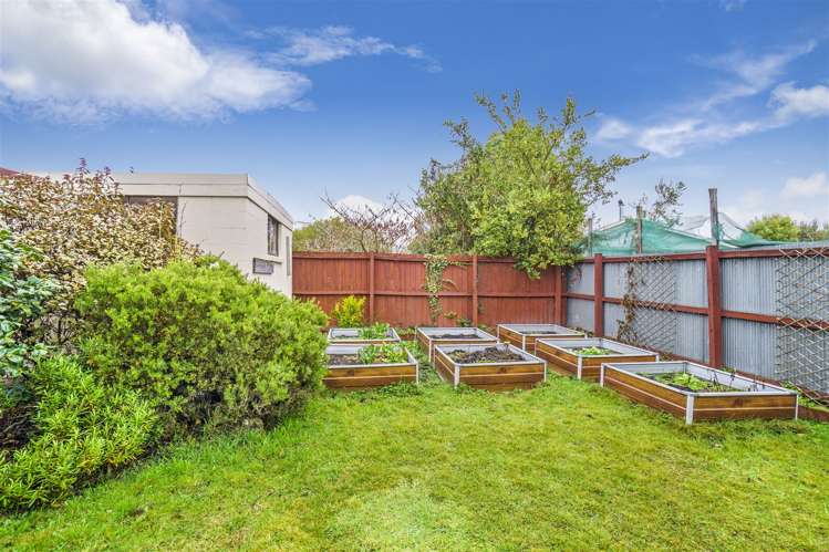 23 Jenkins Avenue Redwood_15
