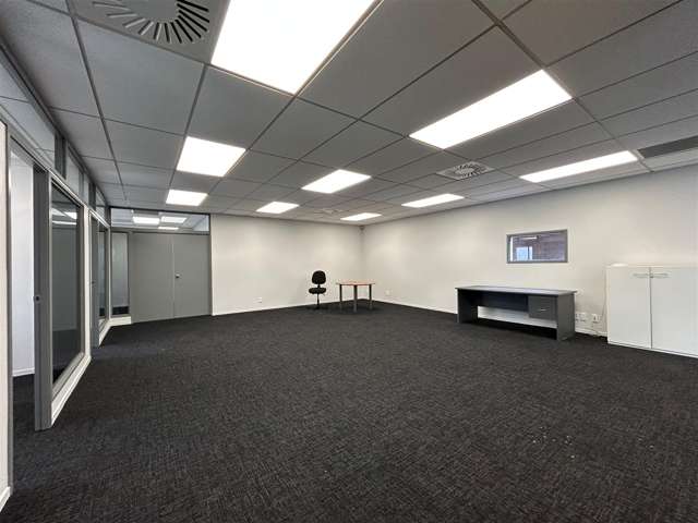 1 McNab Street Penrose_4