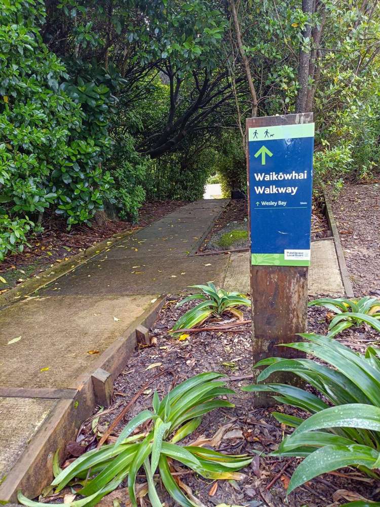 2 Waikowhai Road Hillsborough_30