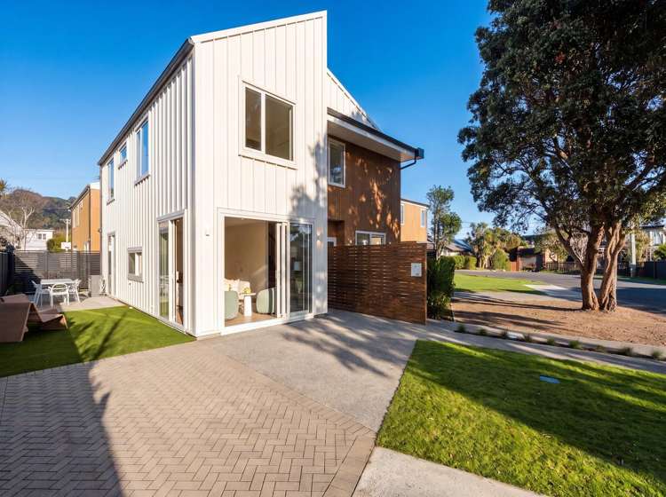 15A Puriri Street Eastbourne_0