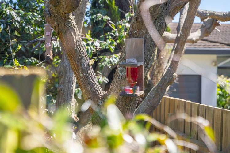 40 Arrowsmith Avenue Waipahihi_25