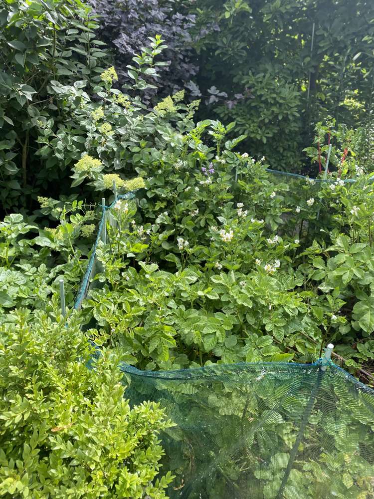 96 Middle Road Allenton_6