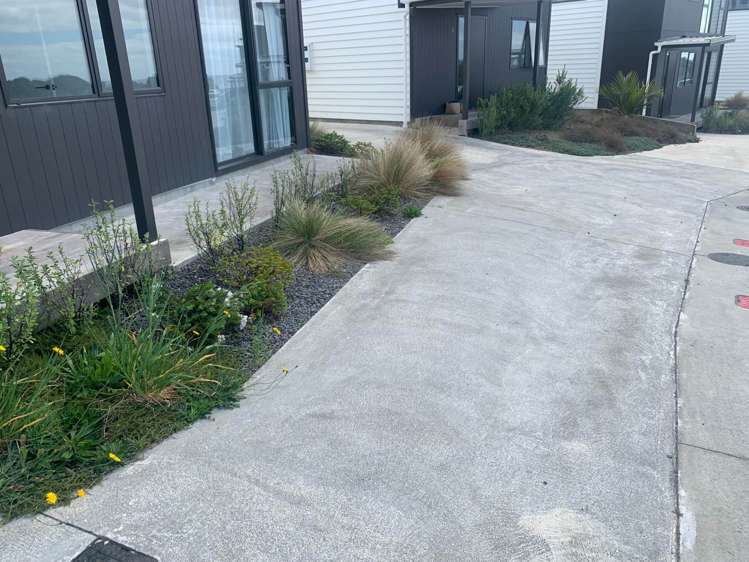 1 Barchan Rise Mangawhai Heads_14
