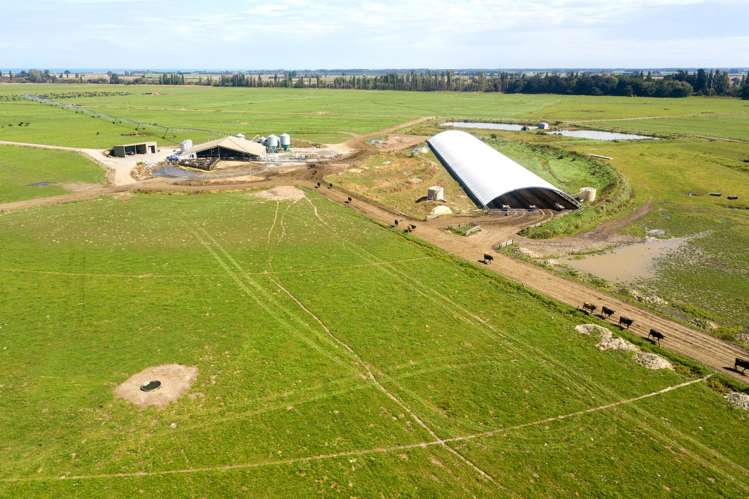 361 Poplar Road Ashburton_6