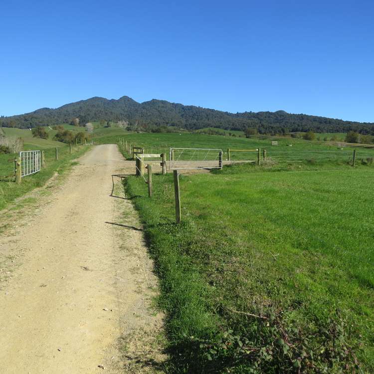 480 O'Shea Road Pirongia_23