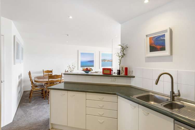 6c Boardman Lane Auckland Central_3