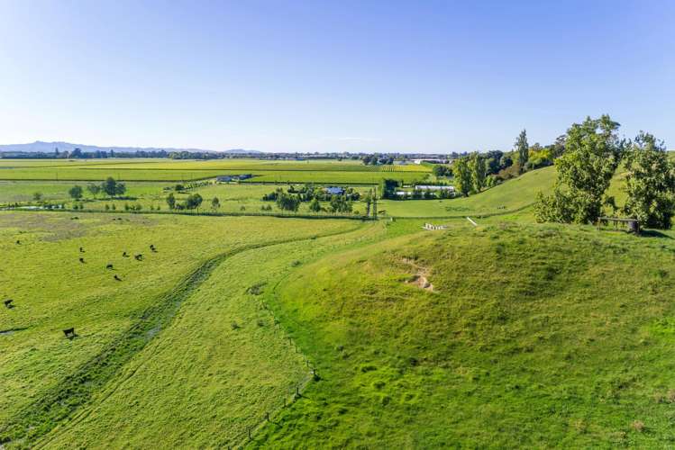 Lot 2 Repongaere Road Patutahi_11