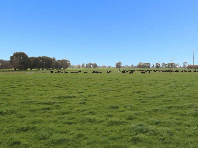 418 Scarborough Road Pahiatua_7