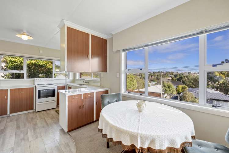 44 Essex Street Vogeltown_8