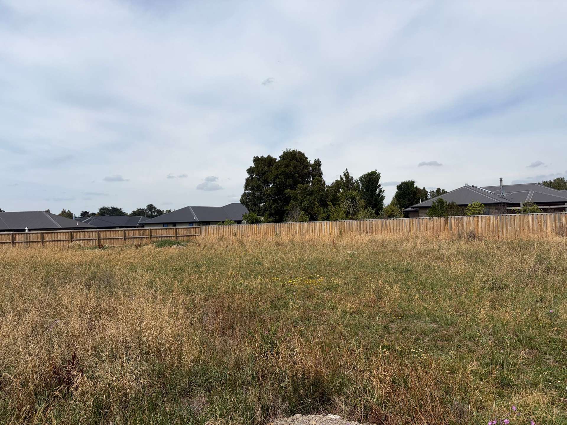 38b Benn Street Amberley_0