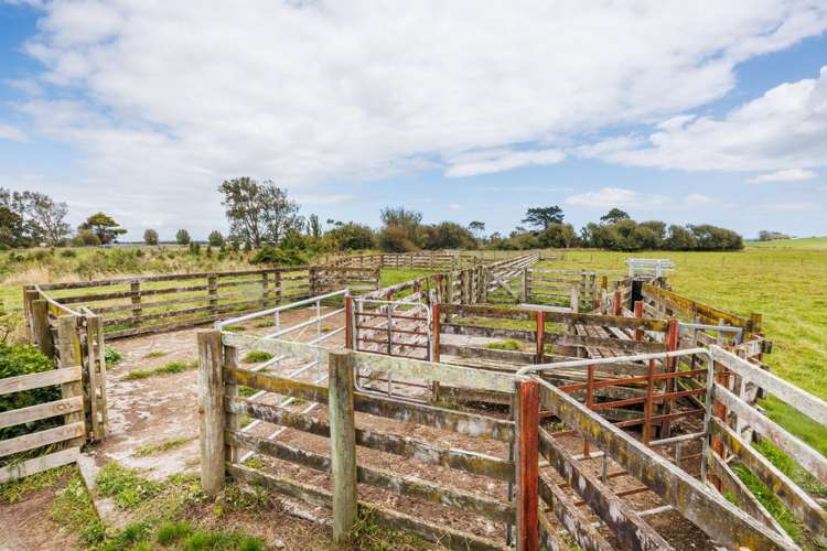 1850 Wellington Road Marton_26