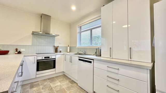 56 Harland Street Tinwald_2