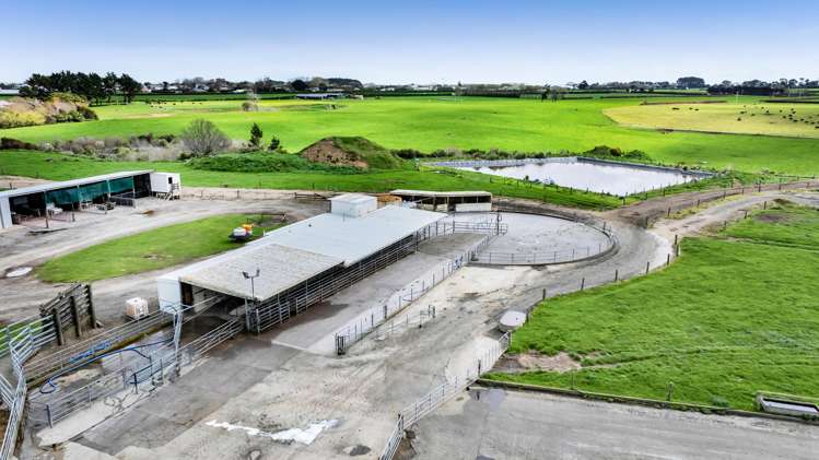 0n Ngarongo Road Normanby_33