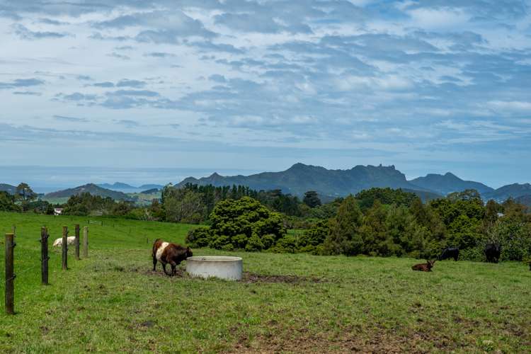 383 Owhiwa Road Parua Bay_16