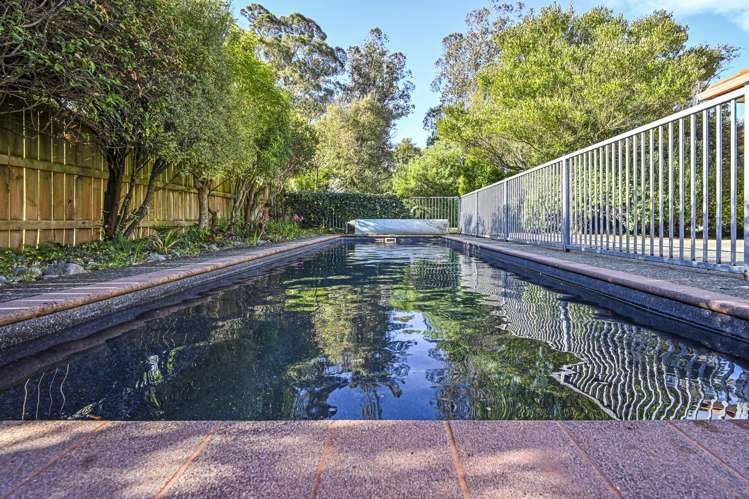 1206 Kaiapo Road Camberley_14