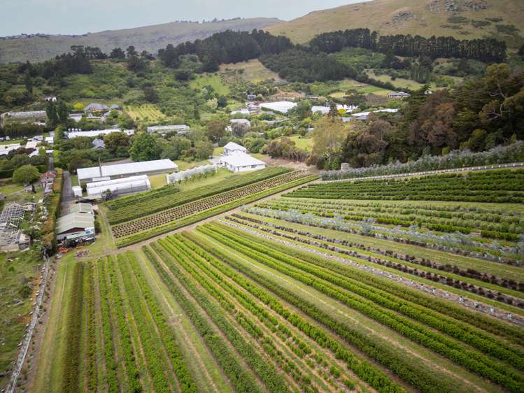 36A Horotane Valley Road_5