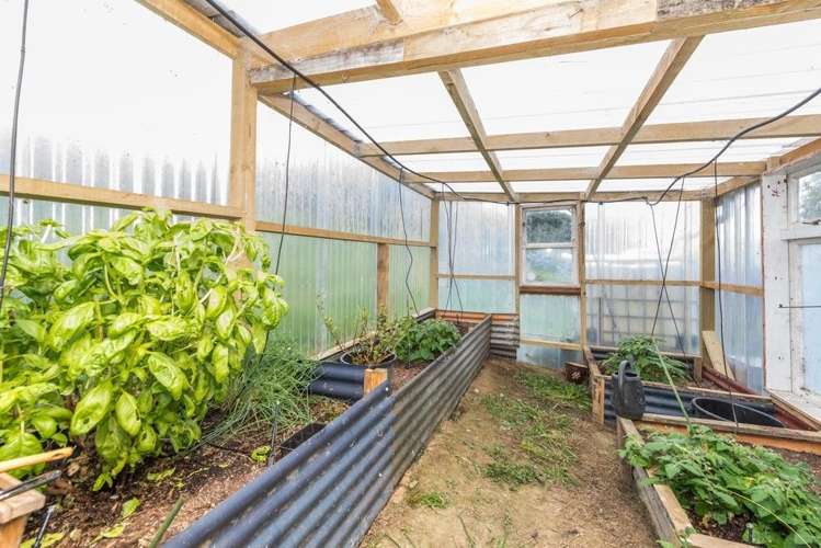 158 Quail Road Kaukapakapa_20