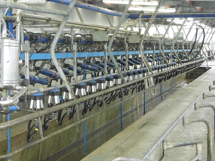 191 Cowans Road Enfield and Surrounds_4