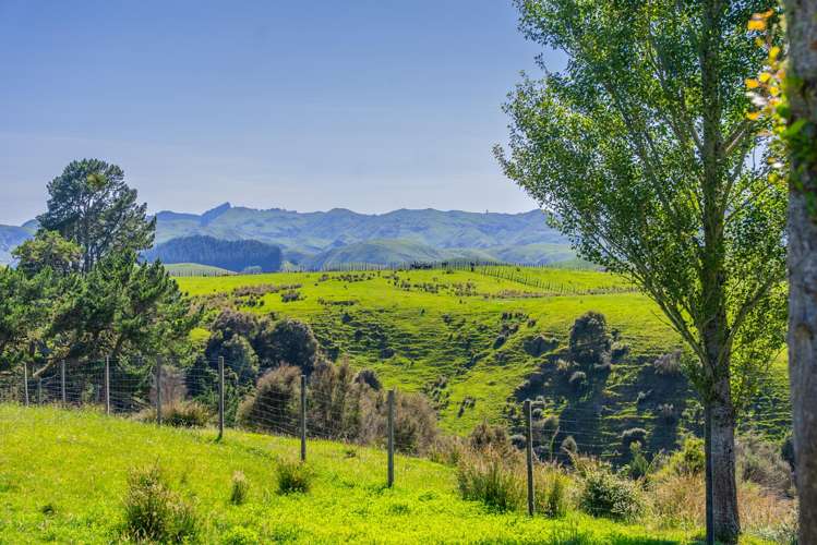 1169 Ruakaka Road Tiniroto_15