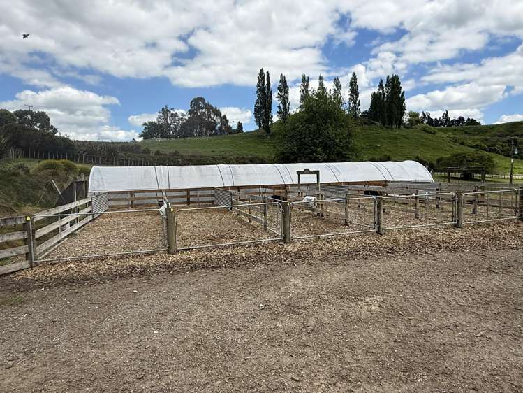 128 Taotaoroa Road Matamata_13