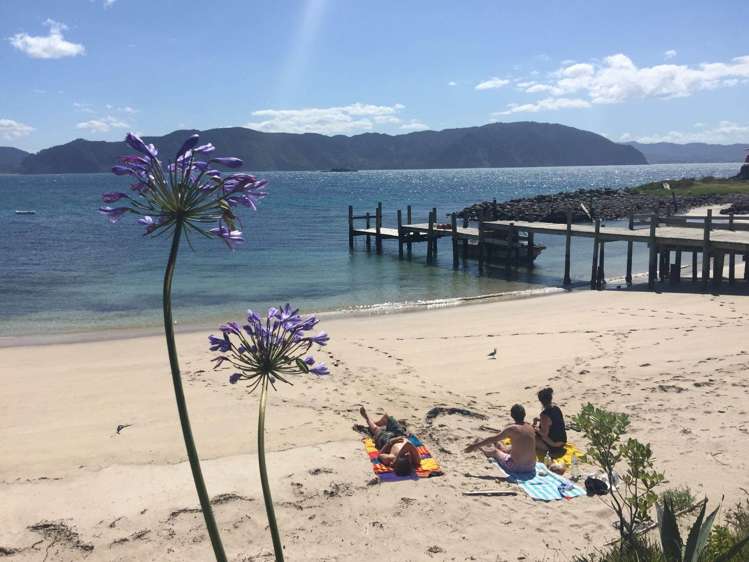 190 Pacific Ocean, Slipper Island (Whakahua) Thames_9