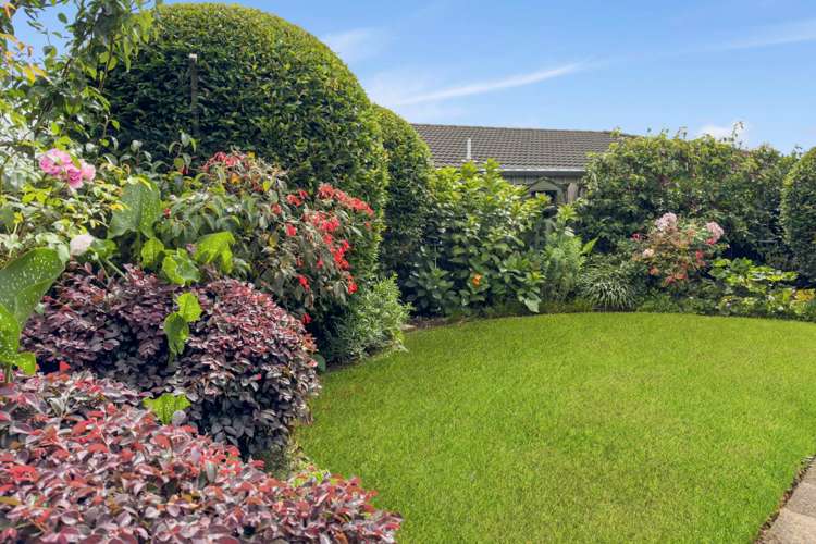 19 Castlehill Court Wattle Downs_10