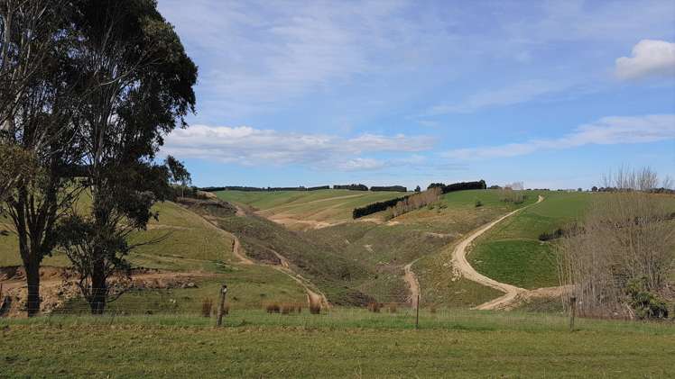 161 Roulston Road Balclutha_19