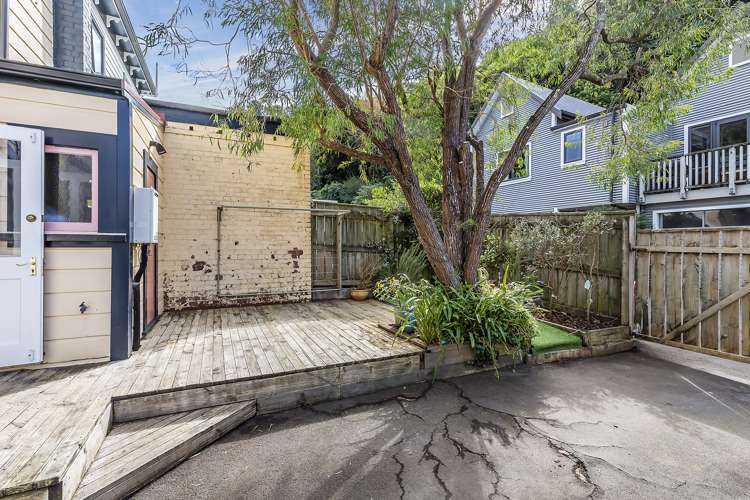 166 Aro Street Aro Valley_16