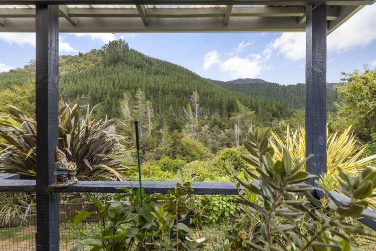 920 Wakamarina Road Havelock_23