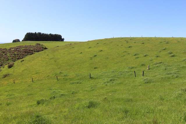 Lot 2/207 Georgetown-Pukeuri Road Pukeuri_3