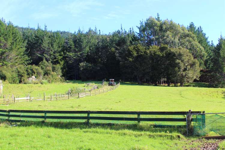 632a Sawyer Road Mangonui_25