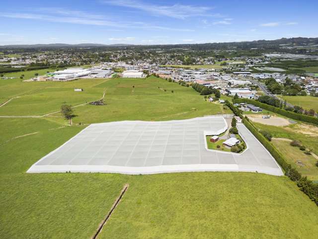 20 Ronalds Lane Te Puke_3