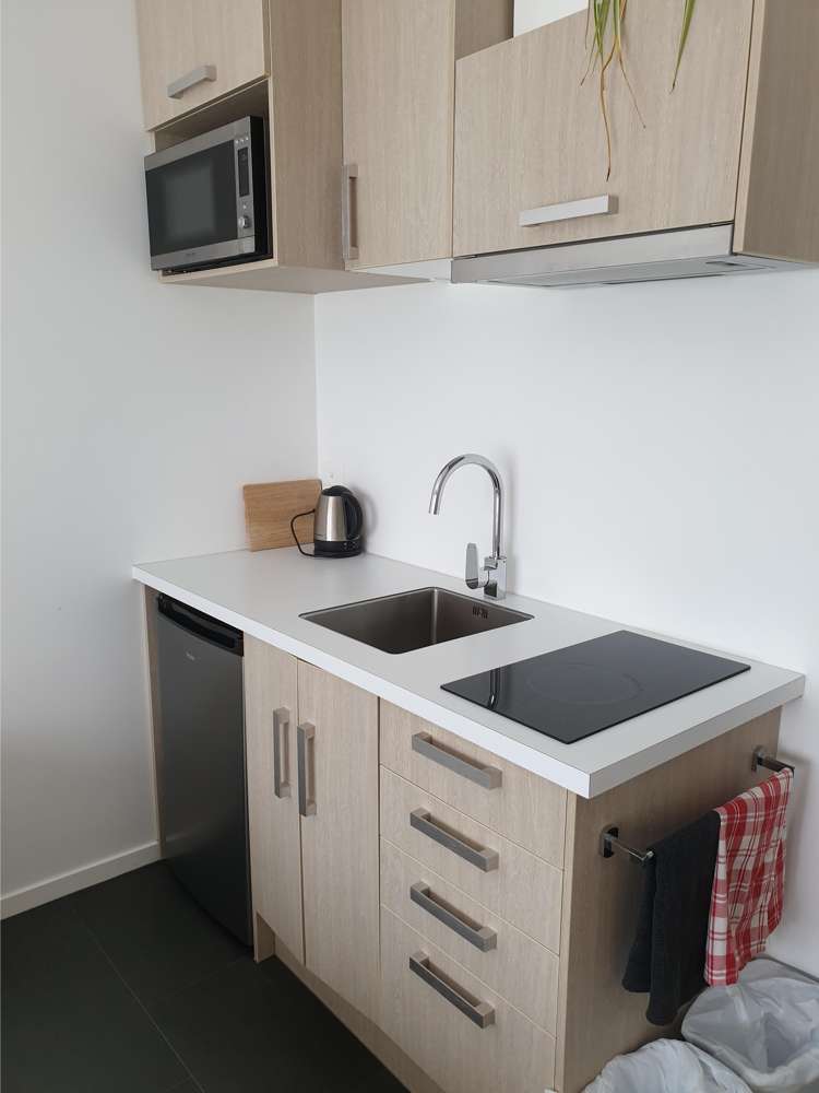 48 Inniscort Street Cromwell_17