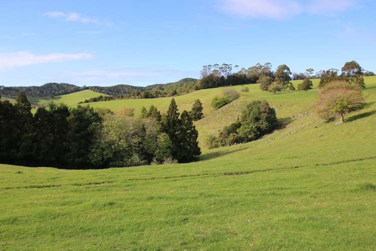 59F Riddell Road Kerikeri_14