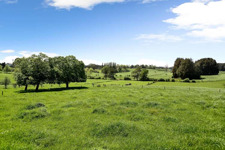 3323 Ohaupo Road Rukuhia_7