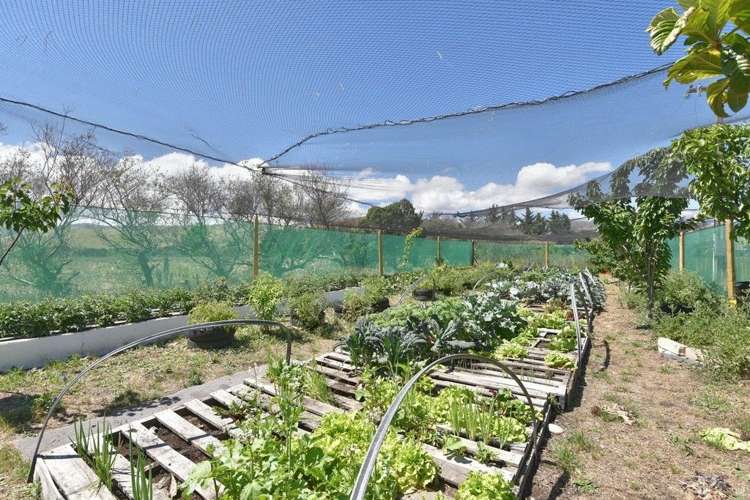 49 Bayleys Road Birdlings Flat_6