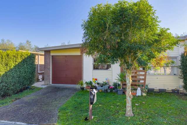 44/46 Peachgrove Road Hamilton East_3