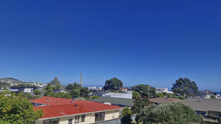 lot 3/452 St Aubyn St Moturoa_13