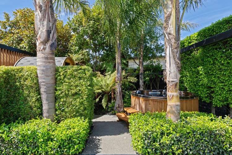 68c Colemans Road Springlands_31