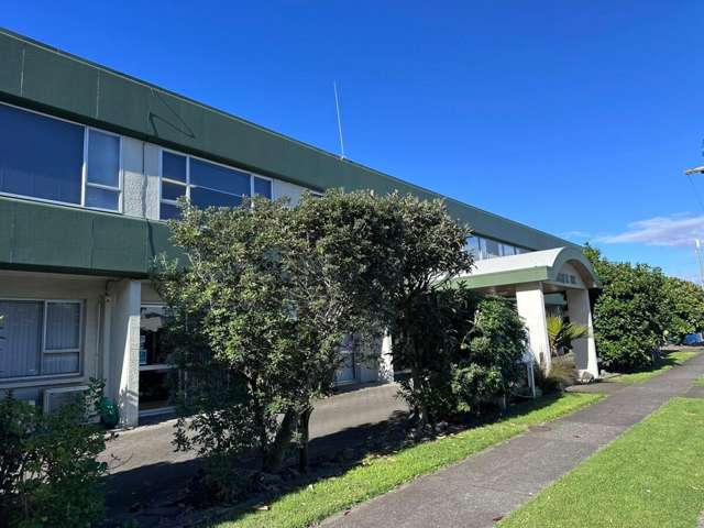 25 Nikau Crescent Mount Maunganui_1