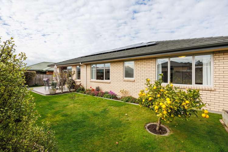 128a Warwick Street Feilding_7