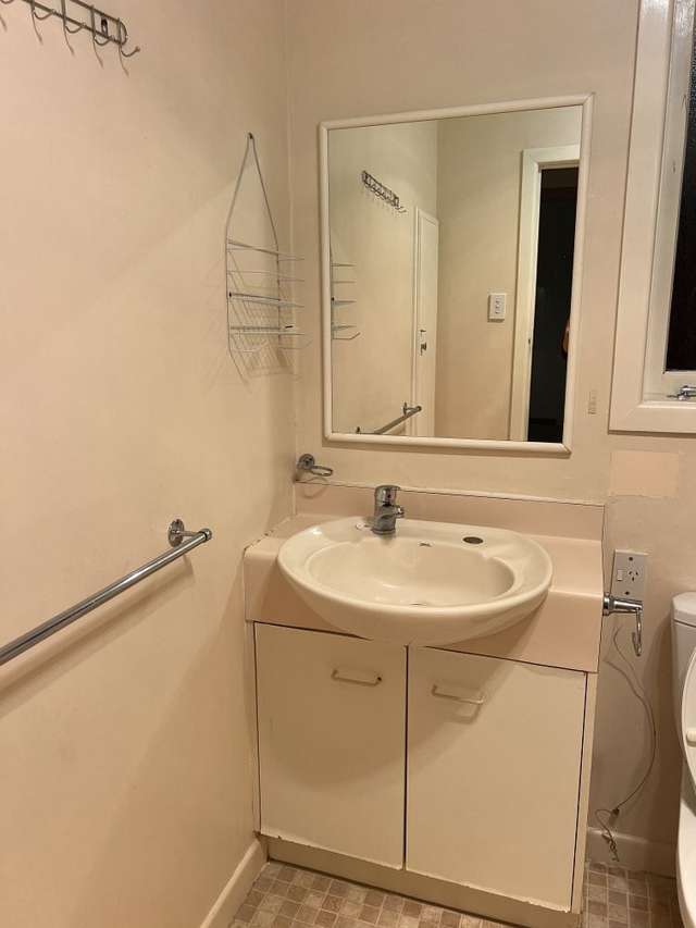 16 Springleigh Avenue Mount Albert_4