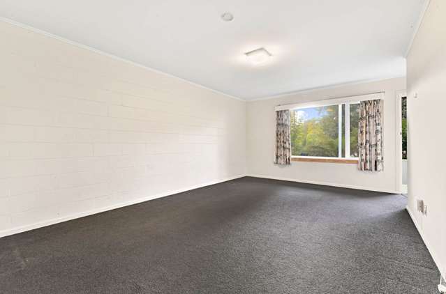 2/17A Esplanade Road Mt Eden_3