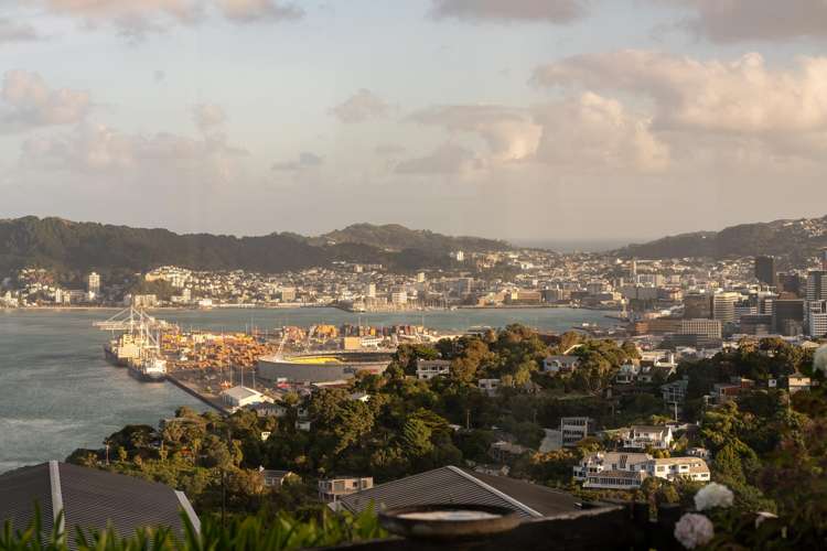 3 Kabul Street Khandallah_13