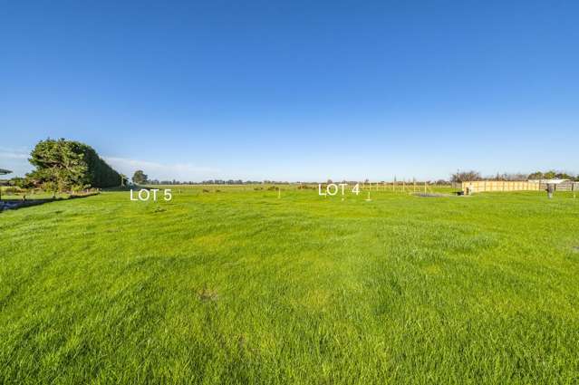 30B Woodville Street Leeston_2