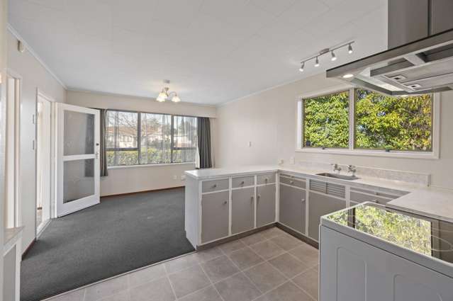 714A Grays Road Mahora_4