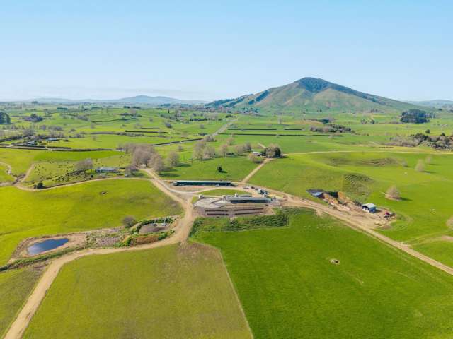 229 Candy Road Te Awamutu_2