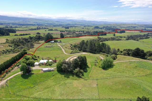 1428 Salisbury Road Kereru_1